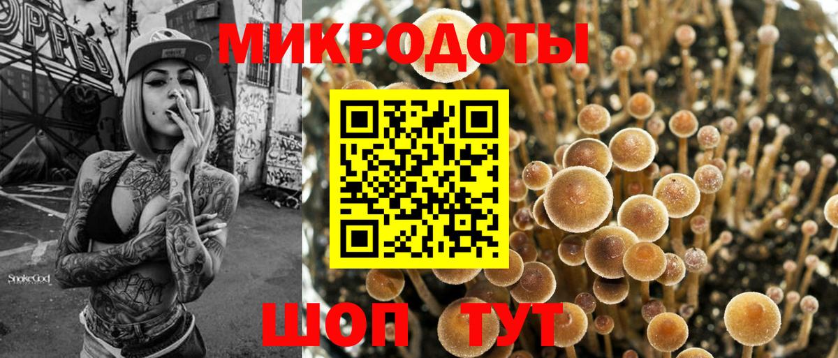 Сердобск  Галлюциногенные грибы Magic Shrooms  Вход с VPN 