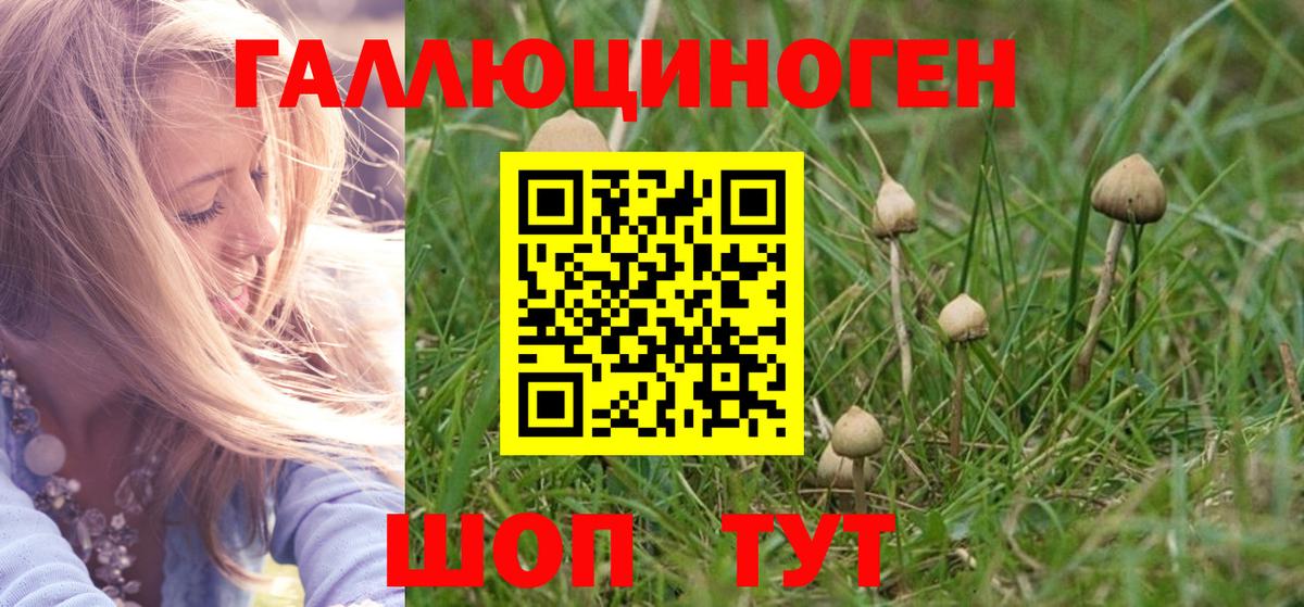 Псилоцибиновые грибы мухоморы Сердобск